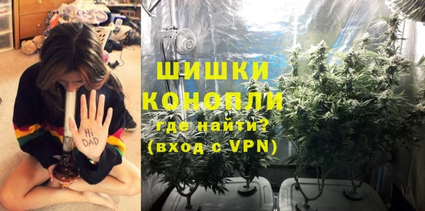 прущие крисы Горно-Алтайск